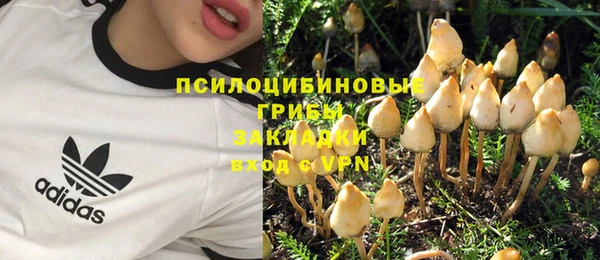 альфа пвп Белокуриха