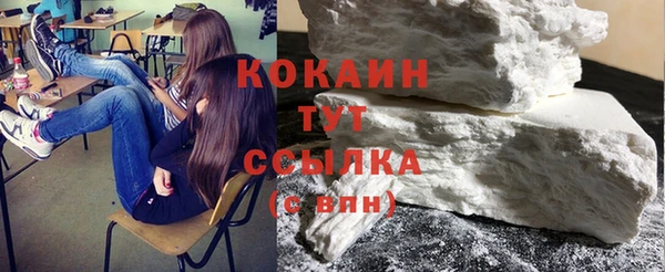 твердый Козловка