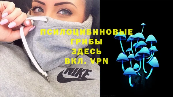 альфа пвп Белокуриха