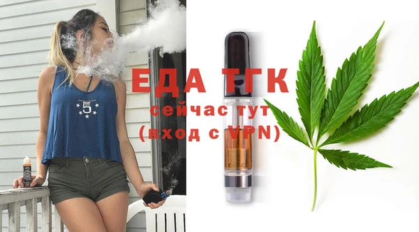 амф Ельня